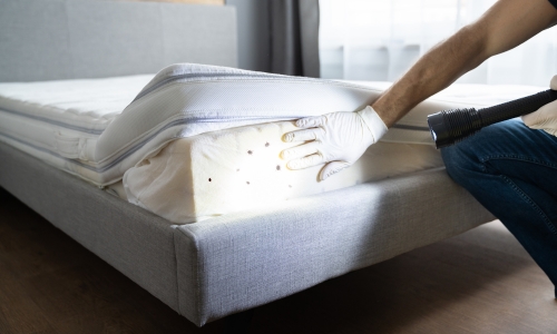 bed bug treatment services in Yadadri Bhuvanagiri
